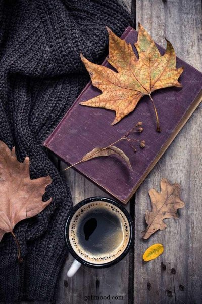 پروفایل پاییزی