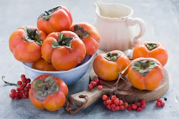  عکس درخت خرمالو در پاییز
