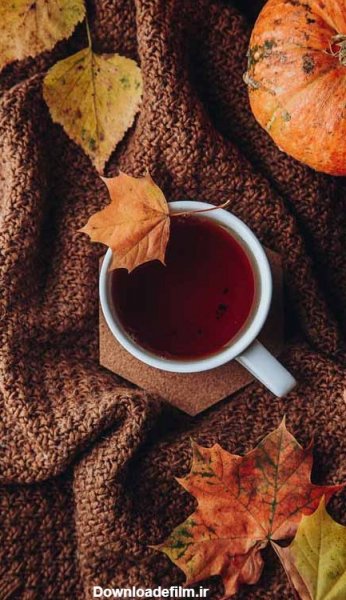  عکس عصر پاییزی و فنجان چای