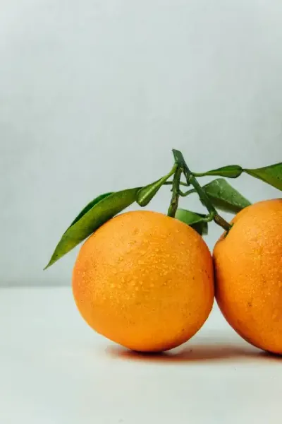 عکس نارنگی و پرتقال برای پروفایل