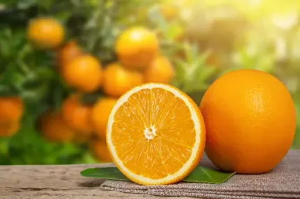  عکس نارنگی و پرتقال برای پروفایل