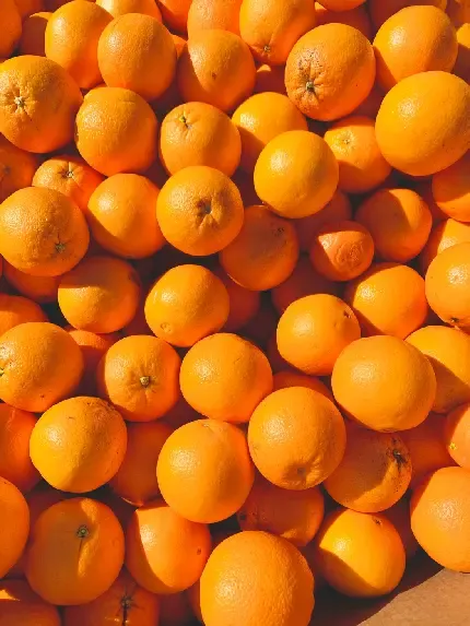  عکس نارنگی و پرتقال برای پروفایل