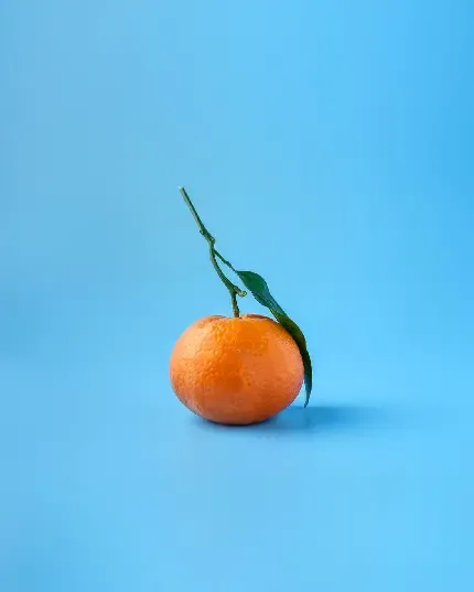  عکس نارنگی و پرتقال برای پروفایل