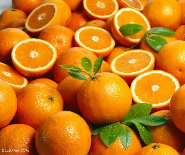  عکس پرتقال برای پروفایل