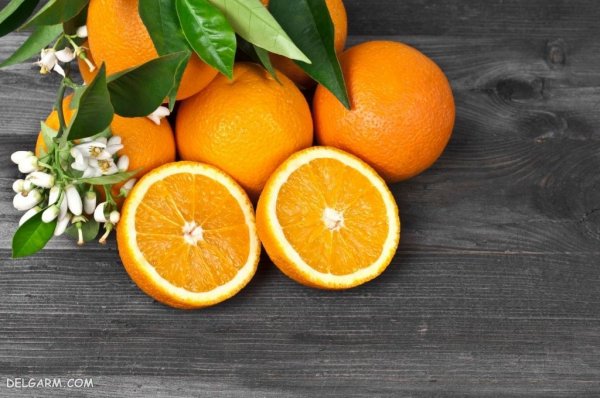  عکس پرتقال برای پروفایل