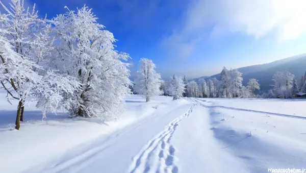  عکس کلبه برای پروفایل
