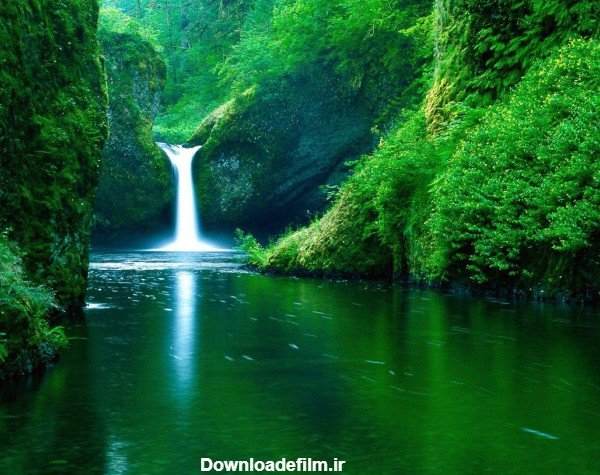  عکس طبیعت سر سبز و زیبا