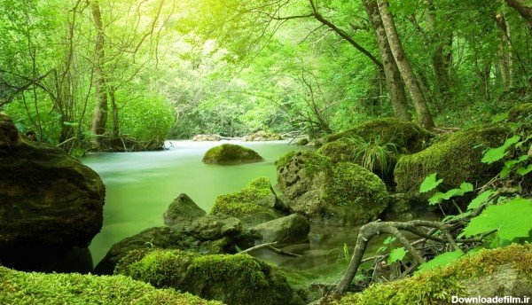  عکس طبیعت سر سبز و زیبا