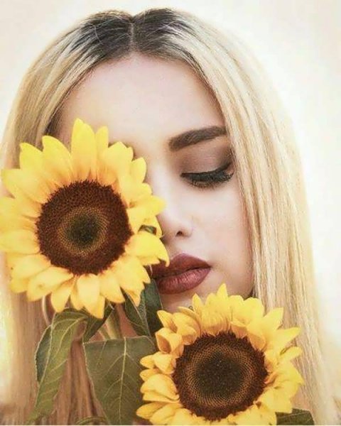  عکس گل آفتابگردان برای پروفایل واتساپ