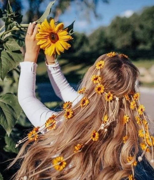 عکس گل آفتابگردان برای پروفایل واتساپ