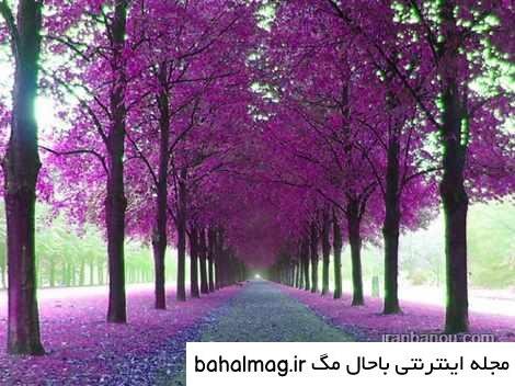  عکس شاد طبیعت پروفایل