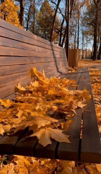 عکس زیبا و هنری پاییزی