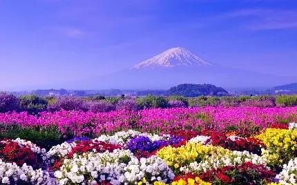  منظره رنگارنگ و شاد برای پروفایل