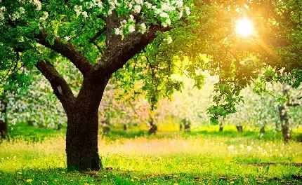  منظره رنگارنگ و شاد برای پروفایل
