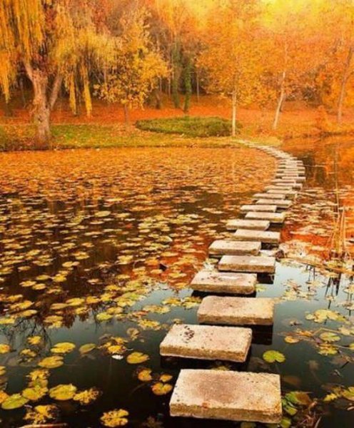  منظره خاص و دیدنی برای پروفایل