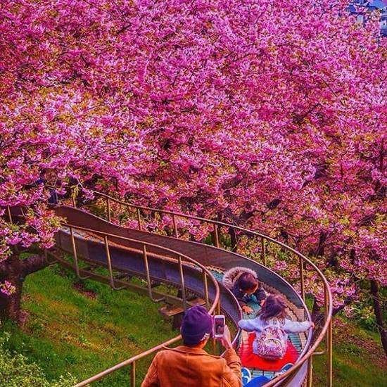  منظره خاص و دیدنی برای پروفایل