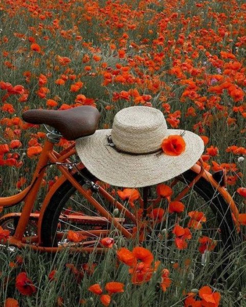  منظره خاص و دیدنی برای پروفایل
