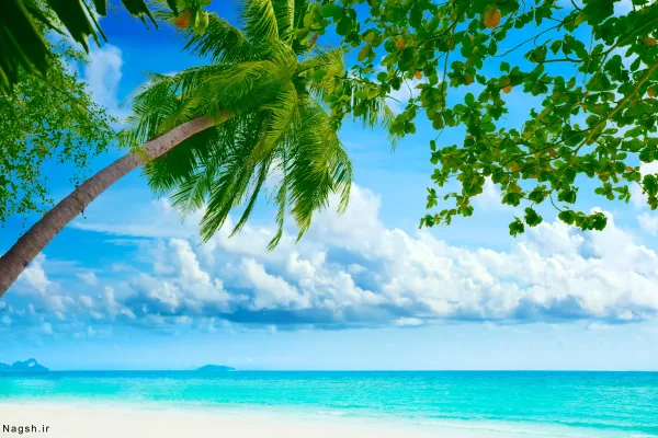  جدیدترین پروفایل ساحل ارامش