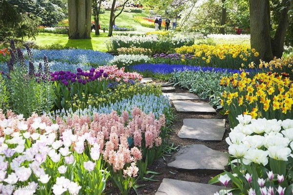  منظره سرسبز بهاری برای پروفایل