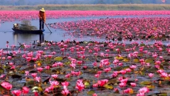  عکس طبیعت زیبا برای پروفایل