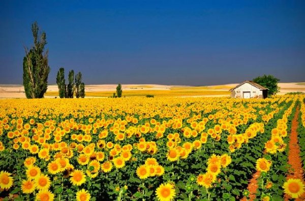  عکس های زیبا از طبیعت