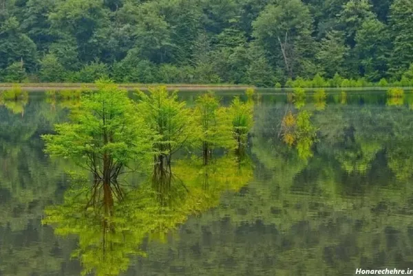  عکسهای آرامش بخش