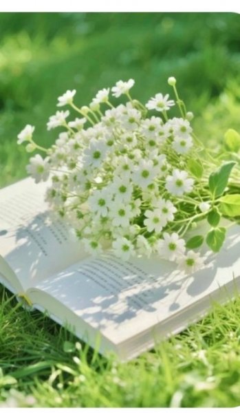 عکس آرامش بخش برای تصویر زمینه