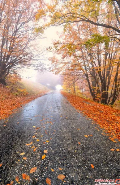  عکس آرامش بخش دخترانه