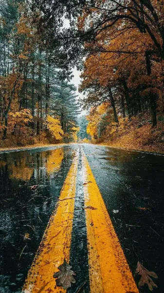 عکس آرامش بخش برای پس زمینه