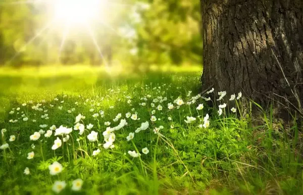  عکس آرامش انسان