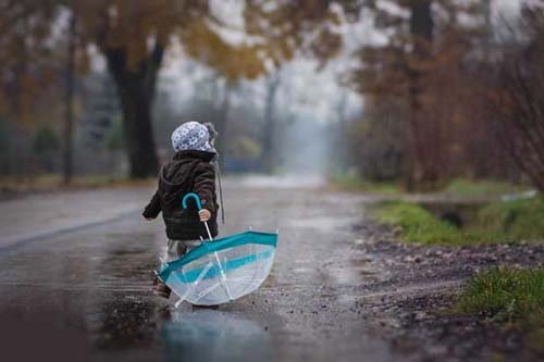  آرامش بخش ترین عکس جهان