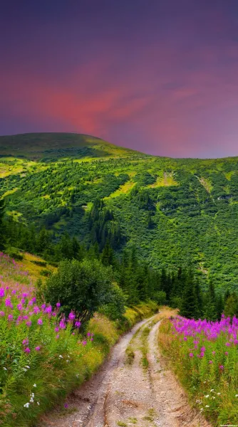  عکس پس زمینه ی آرامش بخش