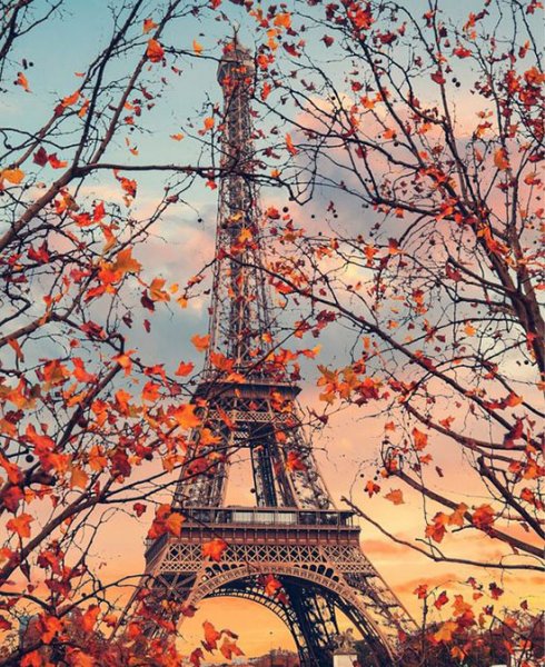  عکس برج ایفل در بهار