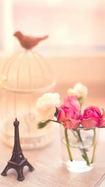  عکس خوشگل از برج ایفل
