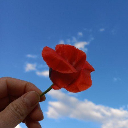  وایب سفید پینترست
