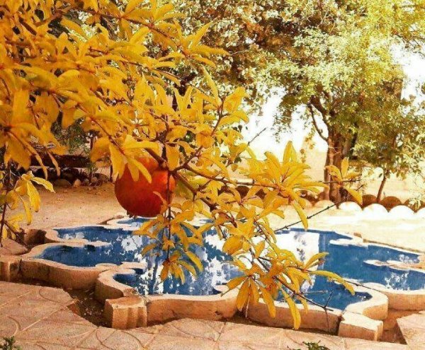  عکس حیاط خانه های قدیمی