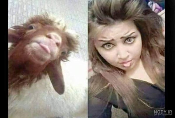  عکس دختر خنده دار