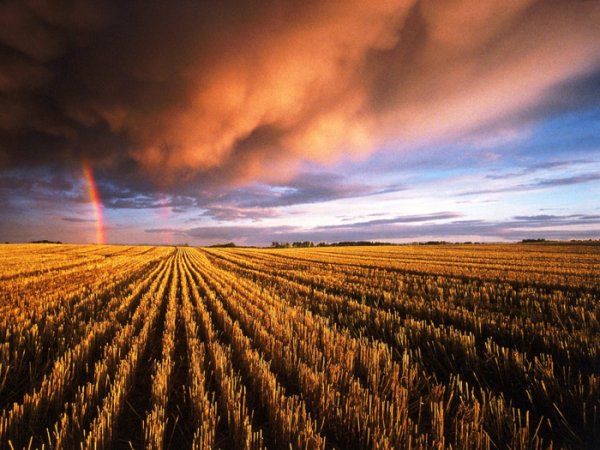  عکس رنگین کمان برای پروفایل