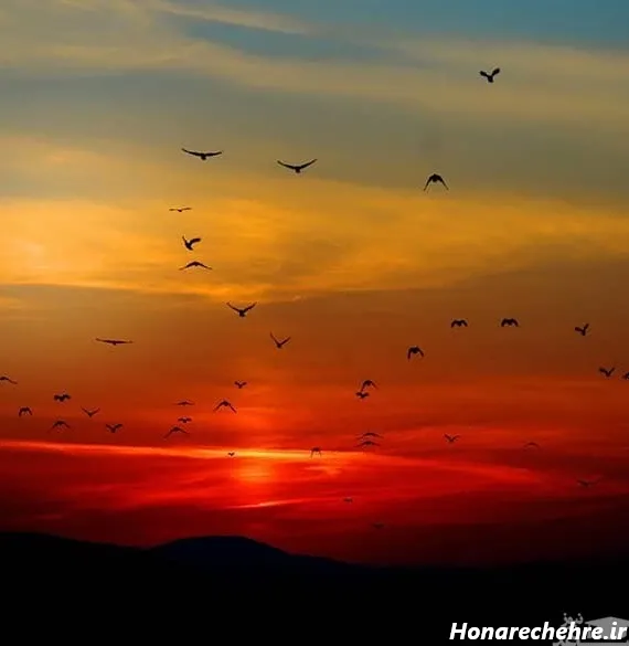  عکس غروب در طبیعت