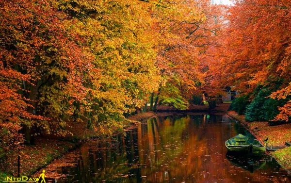  عکس طبیعت بکر پاییزی