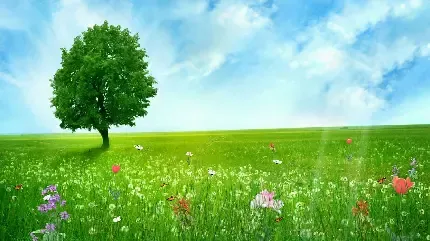 عکس چمن و گل
