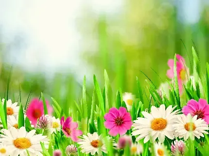  عکس چمن و گل