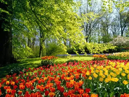  عکس چمن و گل