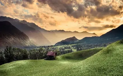  عکس چمن و گل