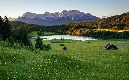  عکس دشت پر از گل