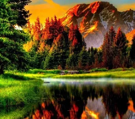  عکس طبیعت بکر و رویایی