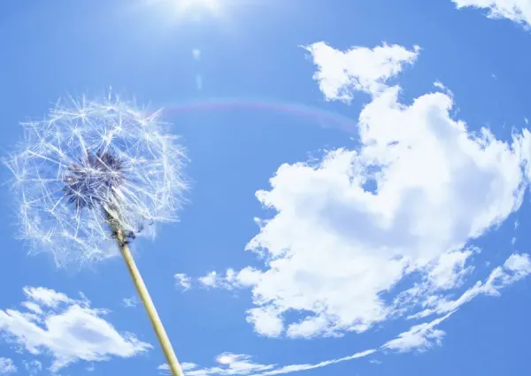  عکس زیبای آسمان از نمای بالا
