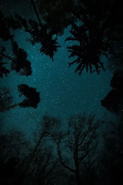  عکس آسمان پرستاره شب