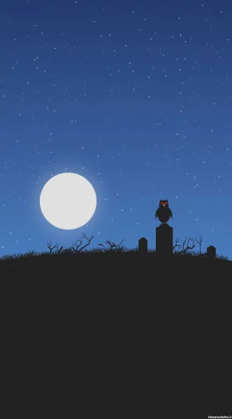  عکس زیبای آسمان شب