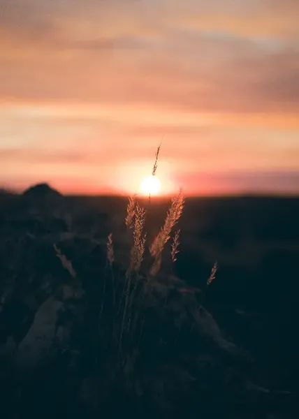 عکس غروب آسمان